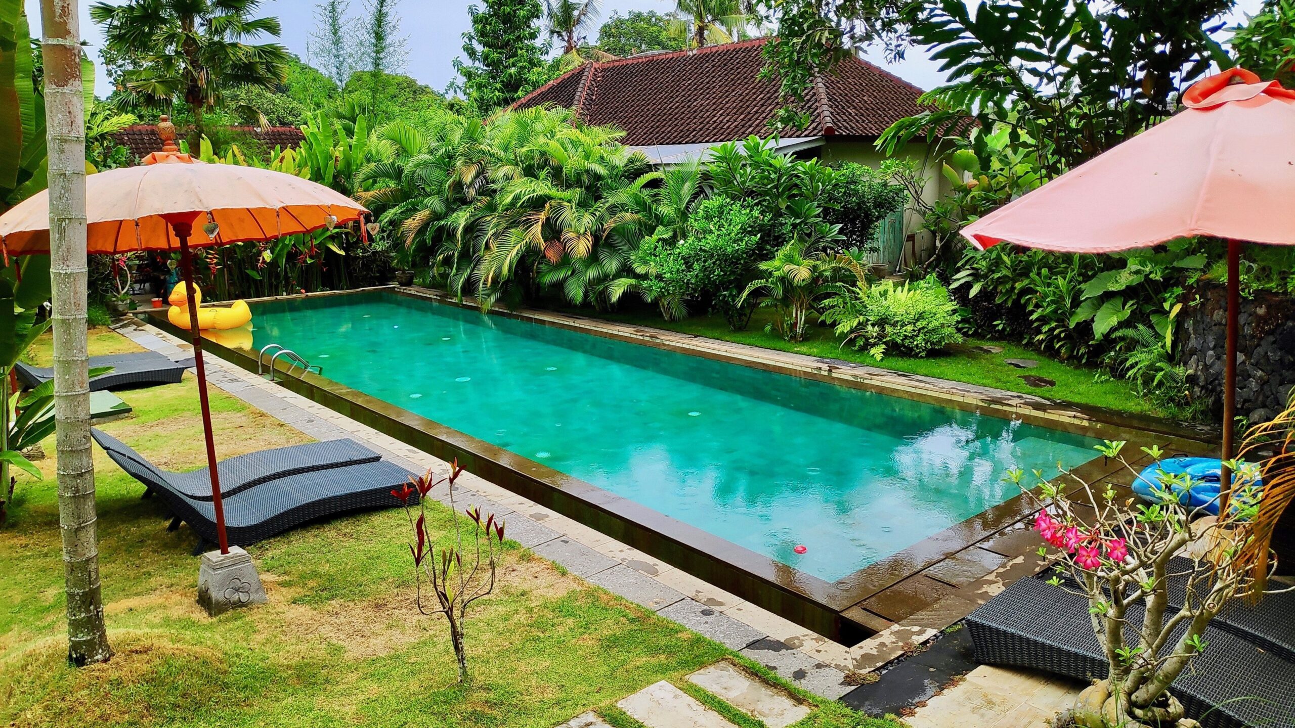 Piscina Oasis